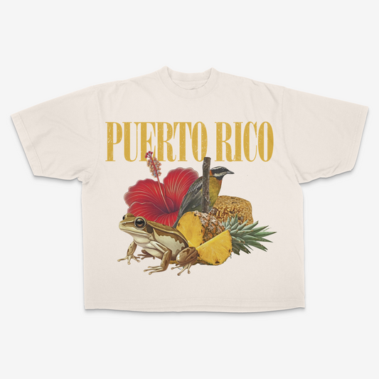 Puerto Rico (C.R.E.A.M.)